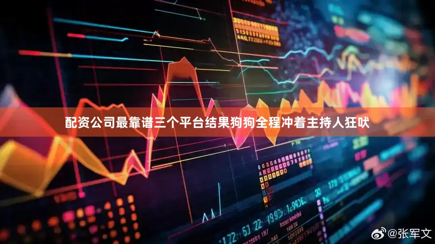 配资公司最靠谱三个平台结果狗狗全程冲着主持人狂吠