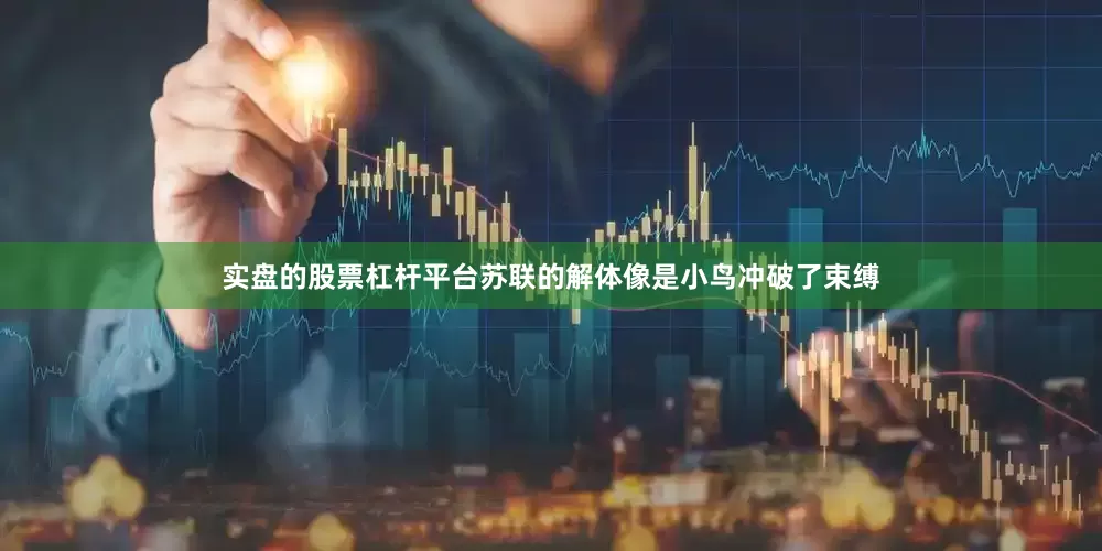 实盘的股票杠杆平台苏联的解体像是小鸟冲破了束缚