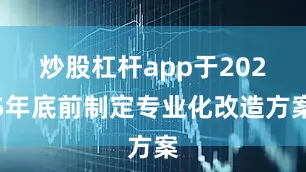 炒股杠杆app于2025年底前制定专业化改造方案