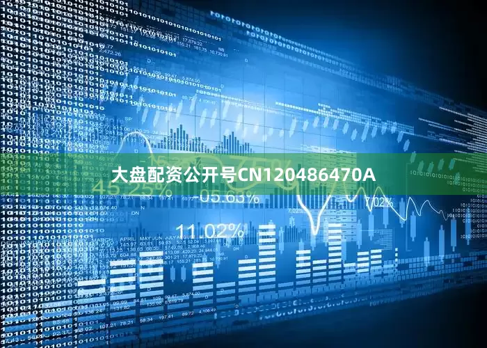 大盘配资公开号CN120486470A